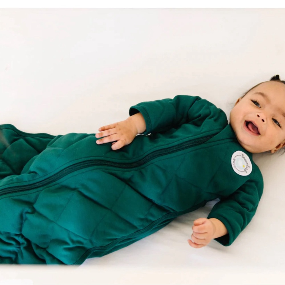 Dreamland Baby transition swaddle. New in package. Accidentally bought 2